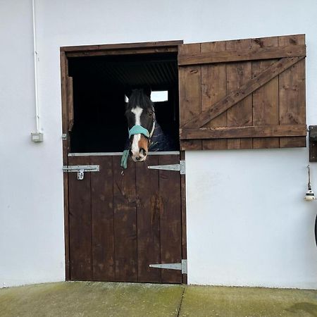 Toddys Hideaway Lägenhet Cavan Exteriör bild
