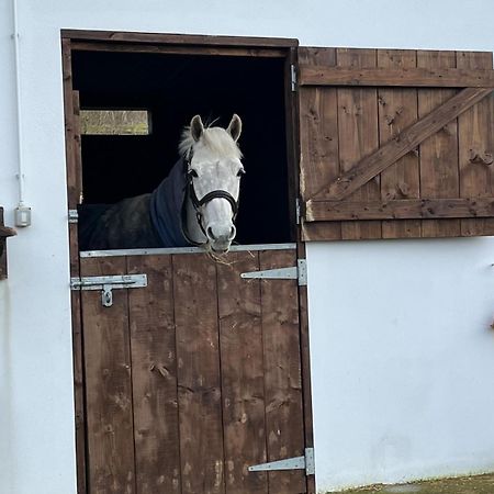 Toddys Hideaway Lägenhet Cavan Exteriör bild
