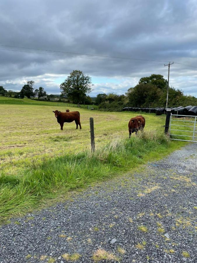 Toddys Hideaway Lägenhet Cavan Exteriör bild
