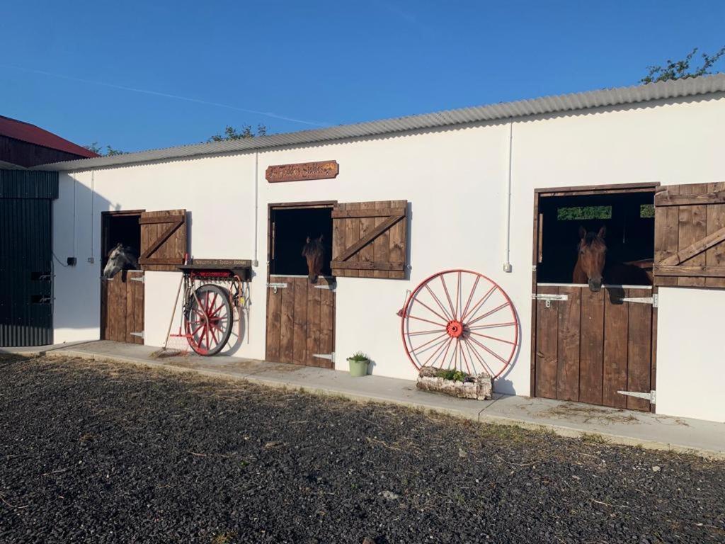 Toddys Hideaway Lägenhet Cavan Exteriör bild