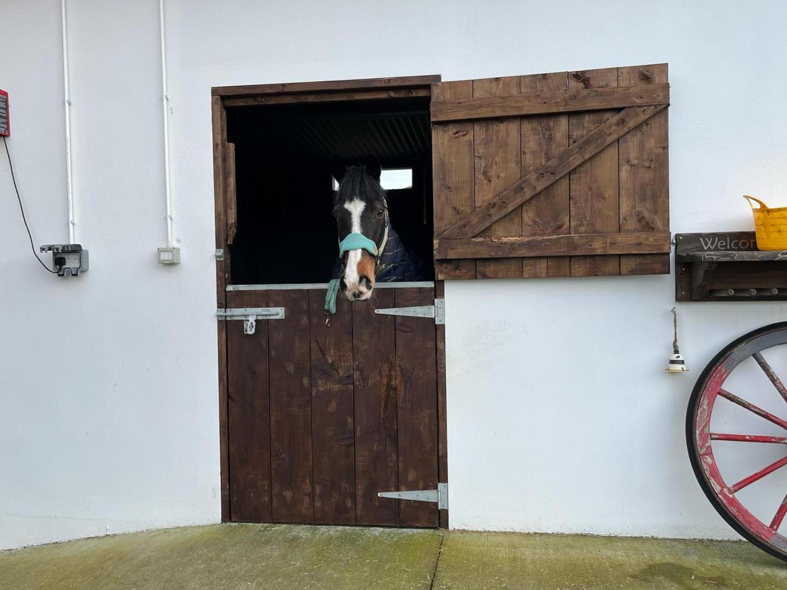 Toddys Hideaway Lägenhet Cavan Exteriör bild