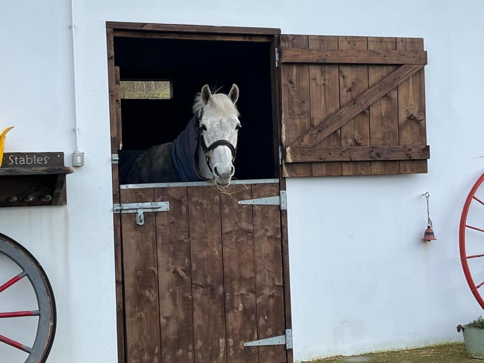 Toddys Hideaway Lägenhet Cavan Exteriör bild